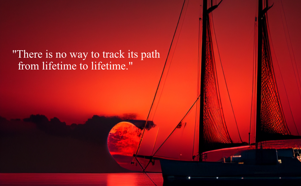 There is no way to track its path from lifetime to lifetime.